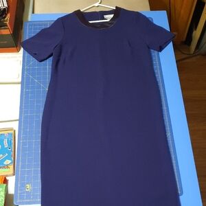 Michaels Purple Midi Shift Dress with Dark Trim - Size 4